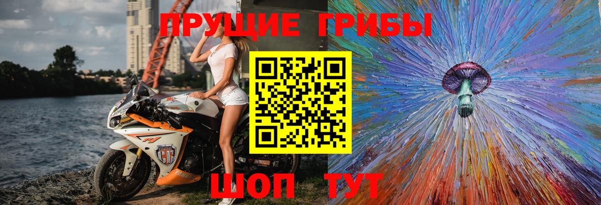 Удомля  Галлюциногенные грибы Psilocybine cubensis  Вход с VPN 