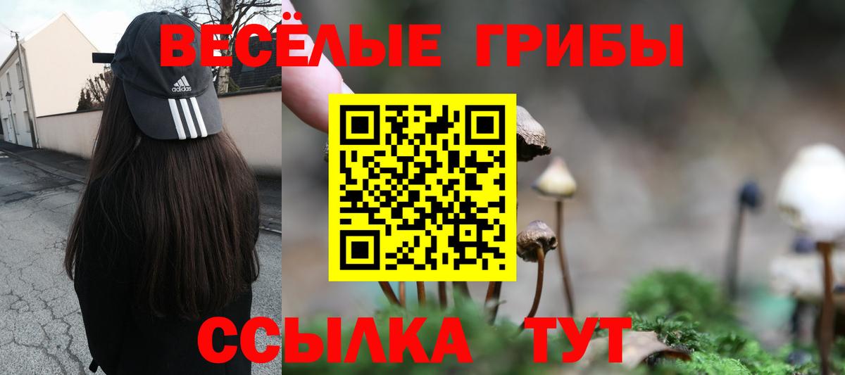 Псилоцибиновые грибы Magic Shrooms Удомля